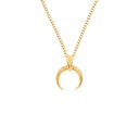 Horn necklace